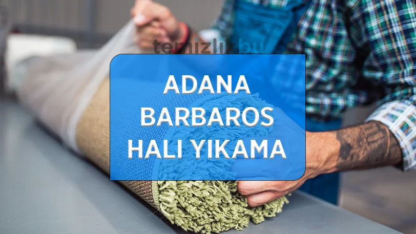 adana barbaros mahallesi hali yikama fabrikasi