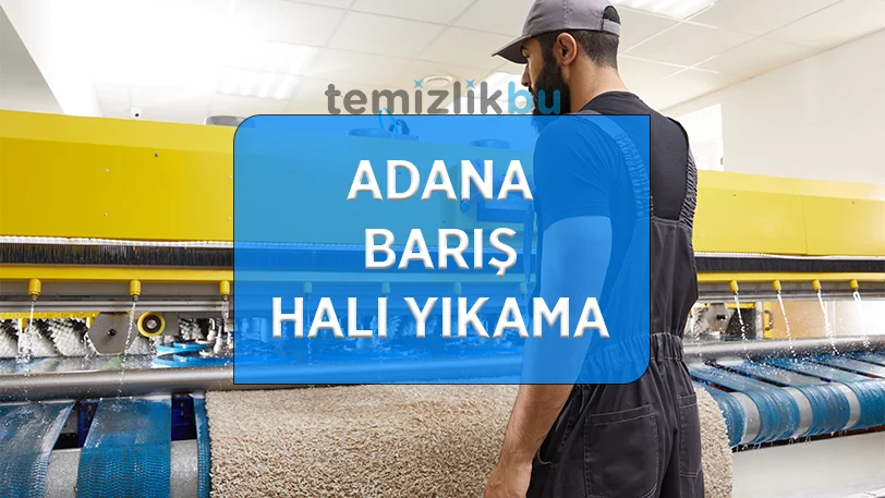 adana baris mahallesi hali yikama fabrikasi