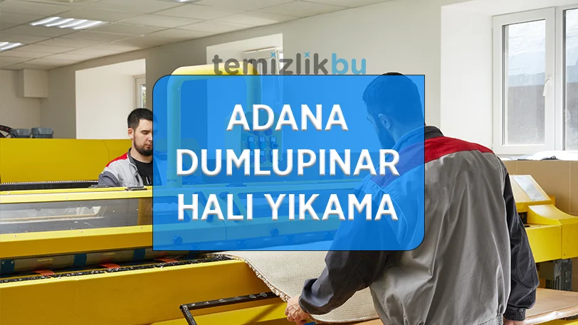 adana dumlupinar mahallesi hali yikama fabrikasi
