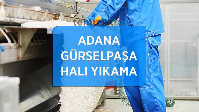 adana gurselpasa mahallesi hali yikama fabrikasi