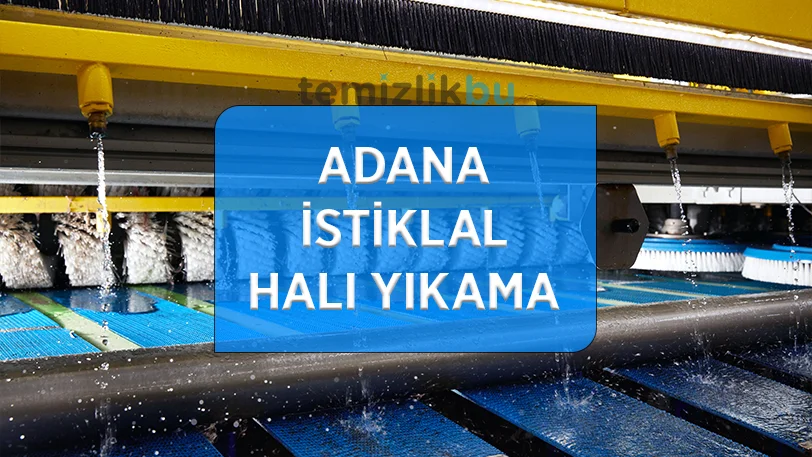 adana istiklal mahallesi hali yikama fabrikasi