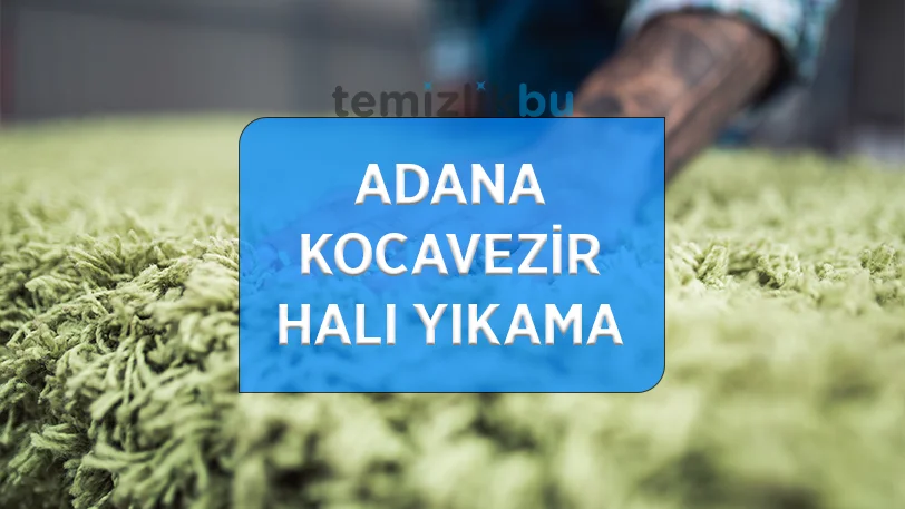 adana kocavezir mahallesi hali yikama fabrikasi