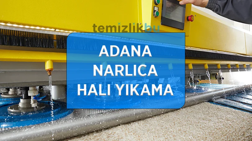 adana narlica mahallesi hali yikama fabrikasi