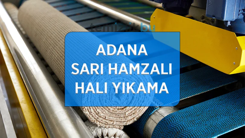 adana sari hamzali mahallesi hali yikama fabrikasi
