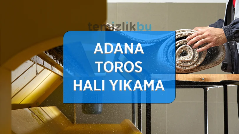 adana toros mahallesi hali yikama fabrikasi
