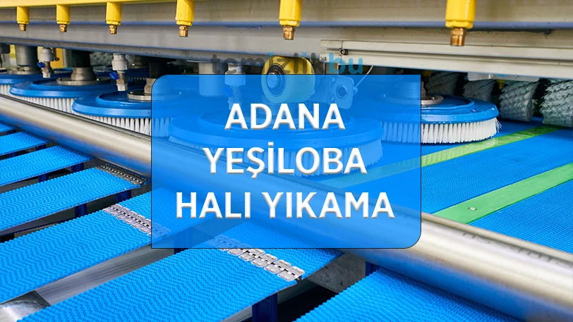 adana yesiloba mahallesi hali yikama fabrikasi